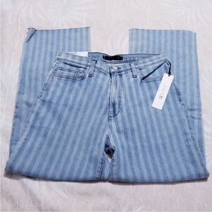 NWT joes jeans high rise wide leg crops the Blake jeans 30